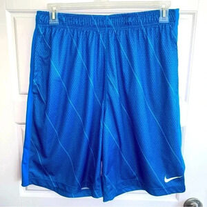 Nike Shorts Dri Fit Size L NWOT